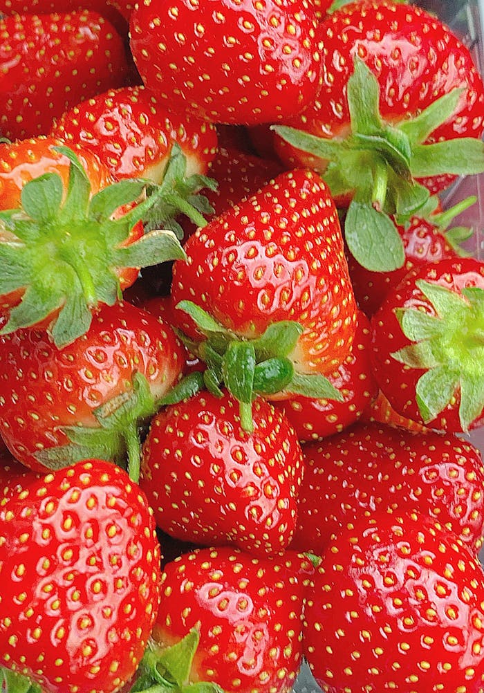 pexels photo 31782169 3.jpeg